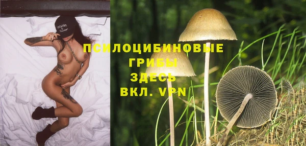 эйфоретик Покровск